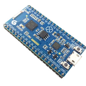 IoT Development Board
