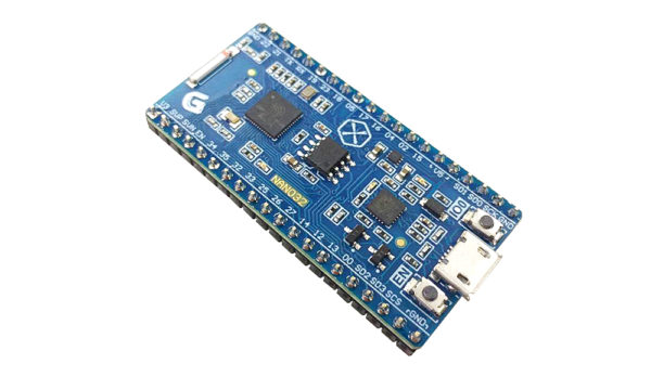 IoT Development Board